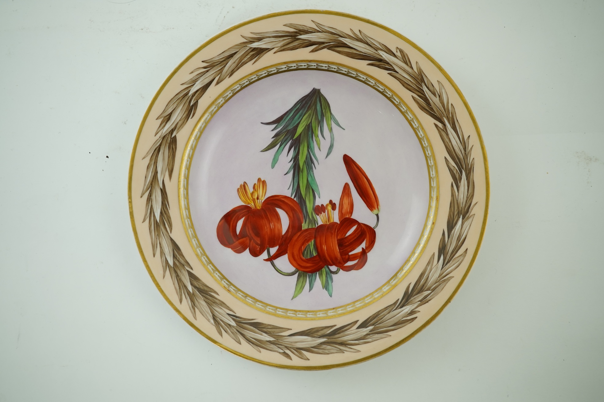 A KPM Berlin Turban lily botanical specimen plate, c.1806-9